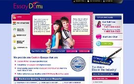 Essaydom.com review 