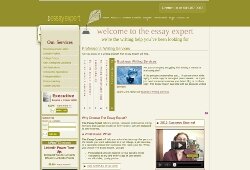 Theessayexpert.com review 