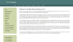 Wiseessays.com review 