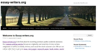 Essay writers 